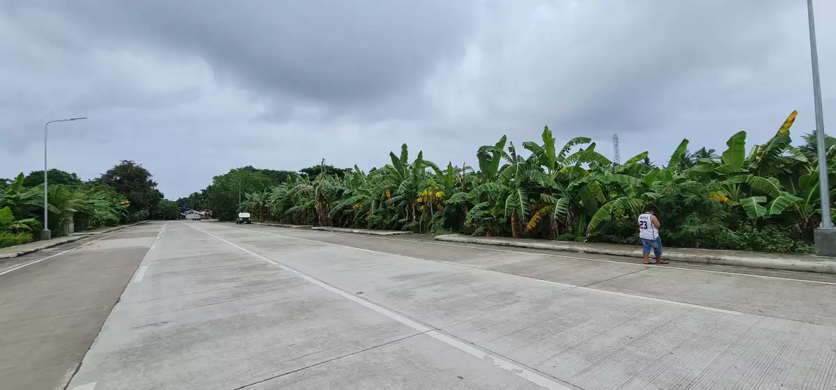 LOT along Sibulan Diversion Road — Residential Lot in Sibulan, Negros Oriental, Philippines — Photo 3