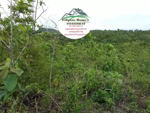 Very rush agri lot — Agricultural Lot in Cebu, Philippines — Photo 4