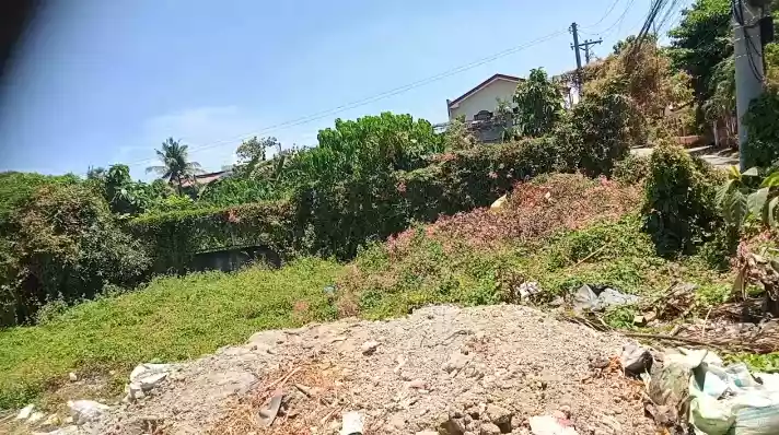 LOT FOR SALE — Residential Lot in Minglanilla, Cebu, Philippines — Photo 4