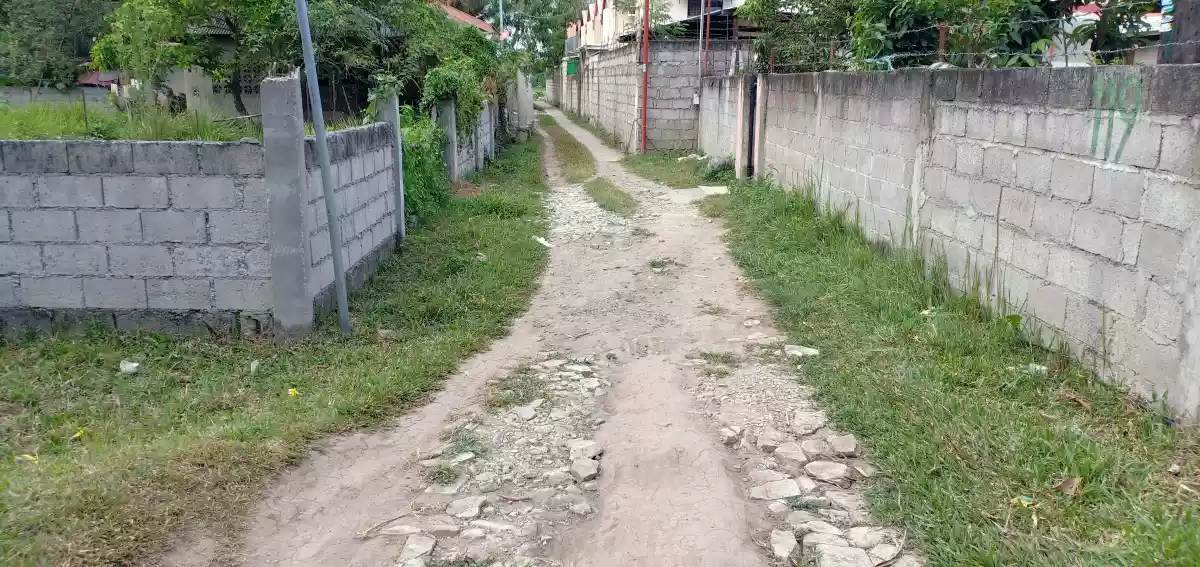 Lot for Sale in Sibulan - photo 3