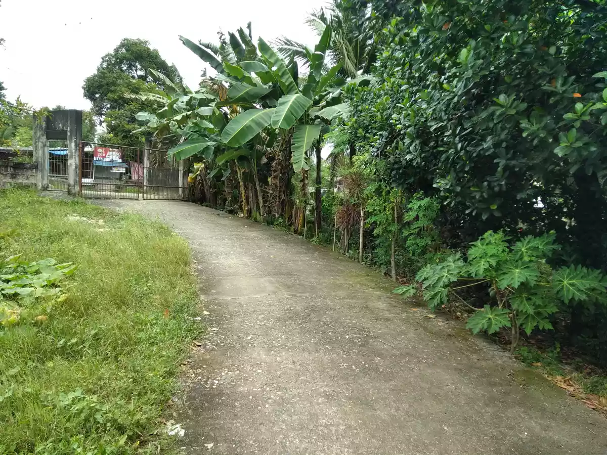 Affordable Industrial Lot - photo 3
