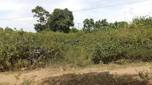 Open photo 41 of 57 — Lot for Sale in Amlan Negros Oriental