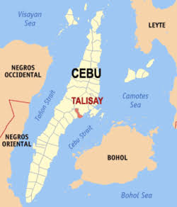 Lot For Sale - Linao Talisay — Agricultural Lot in Cebu, Philippines — Photo 4