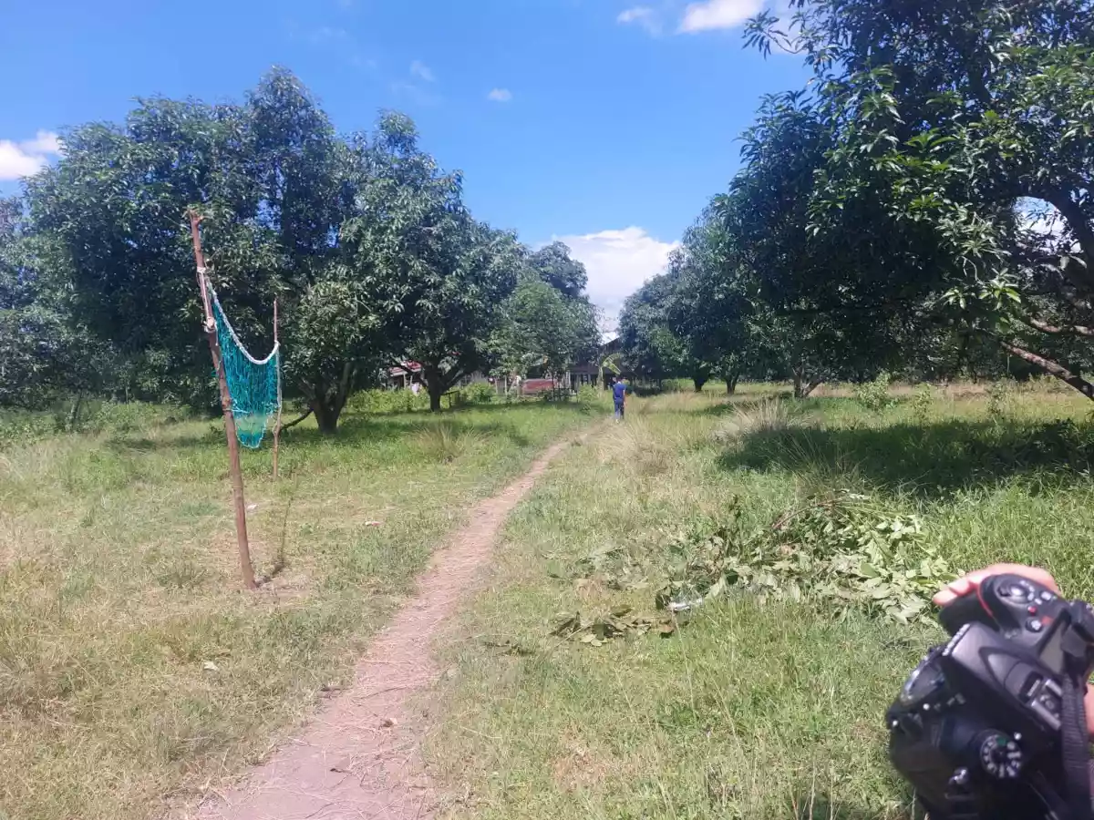 RJS LOT PROPERTY FOR SALE  - photo 7