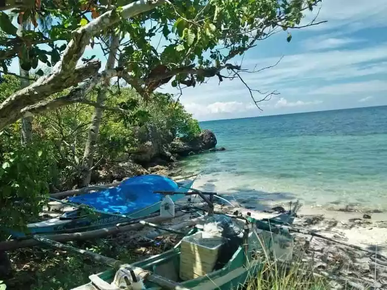 Beachlot white sand - photo 3