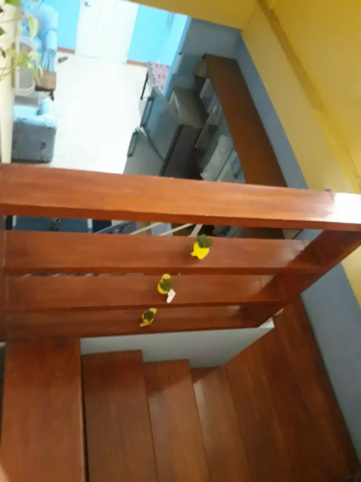  For Rent 3br apartment with roof deck  and parking  along AS Fortuna  St. Mandaue city Cebu - photo 6