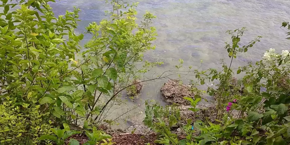 BEACH LOT in Bitoon, Dumanjug, Cebu PH for SALE at 5M — Beach Lot in Dumanjug, Cebu, Philippines — Photo 2