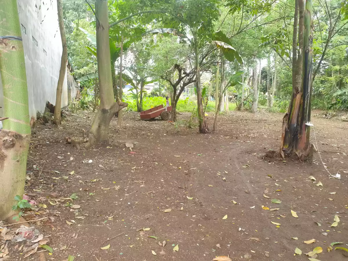 Rush Sale Residential Lot — Residential Lot in Malaybalay, Bukidnon, Philippines — Photo 2