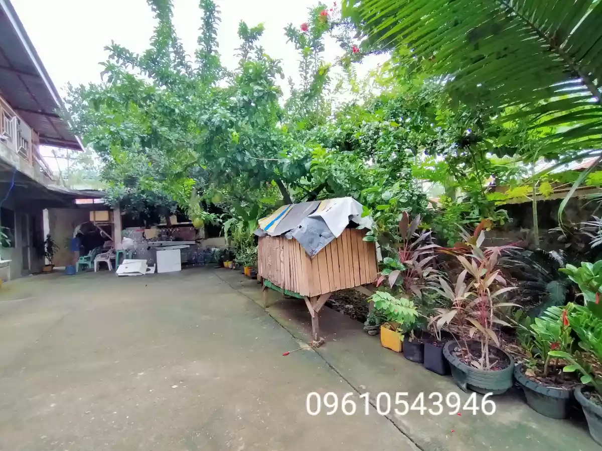 315 SQM LOT WITH UNFINISHED TWO-STOREY HOUSE - photo 6