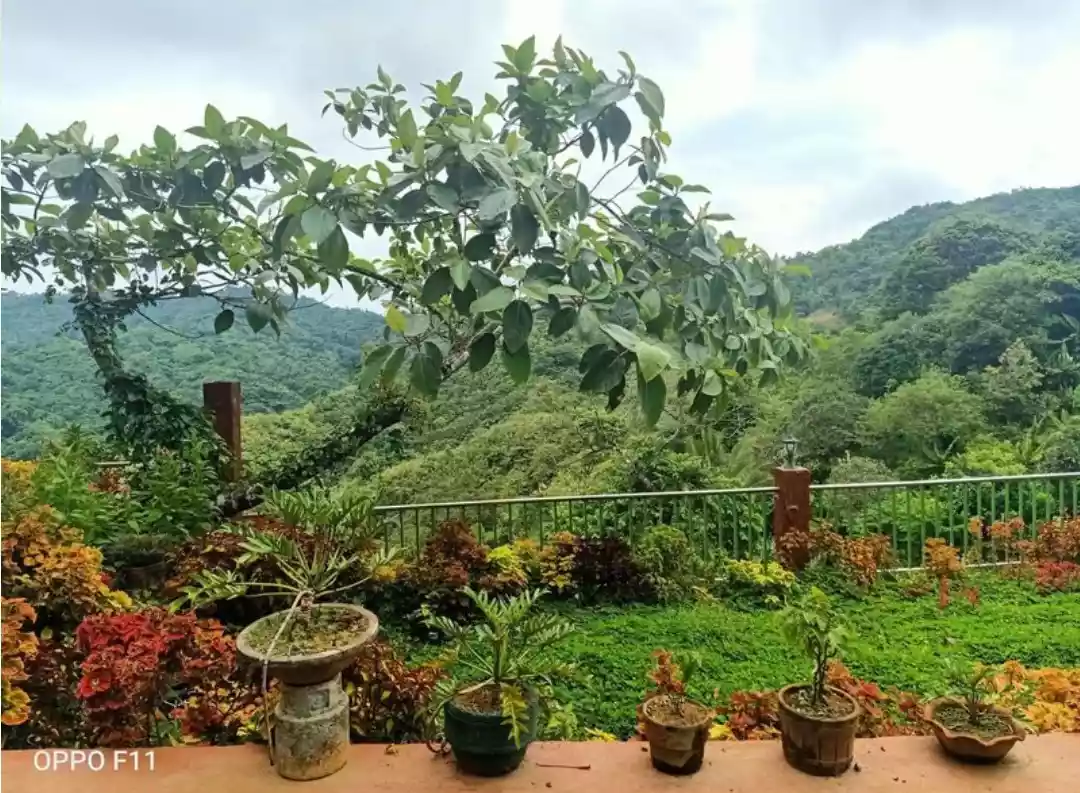 Farm Lot with 2Storey House in Balamban - photo 2