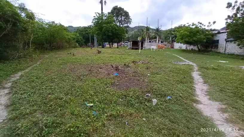 Jane Cane — Beach Lot in Alcoy, Cebu, Philippines — Photo 5