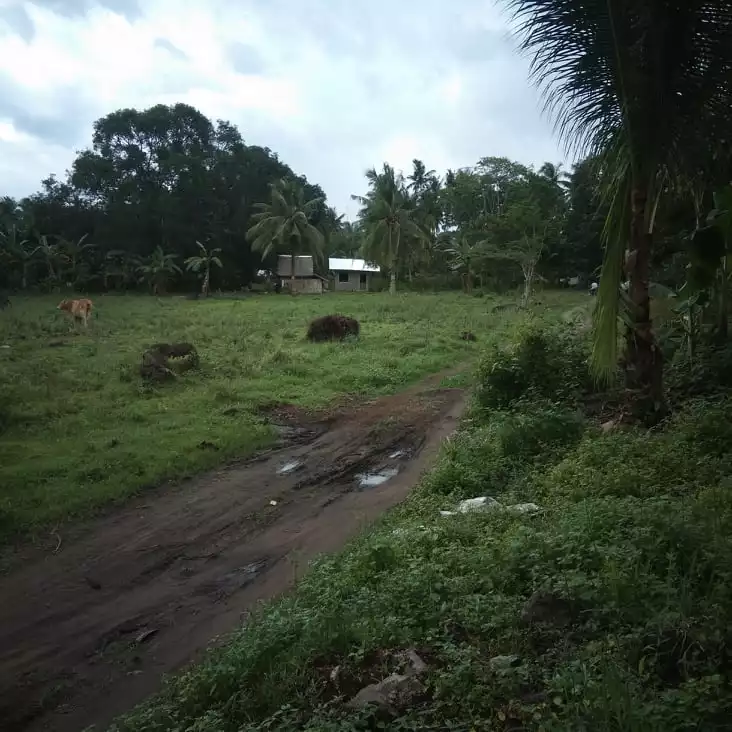 6000 sqm. lot isugan bacong