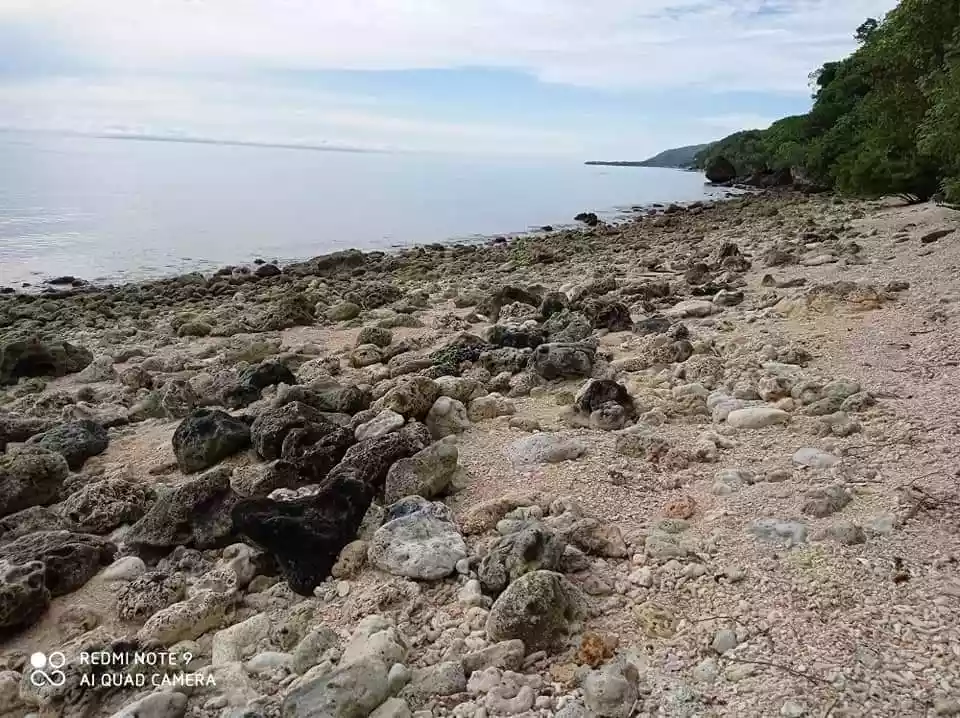 Virgie Kintan — Beach Lot in Boljoon, Cebu, Philippines — Photo 5