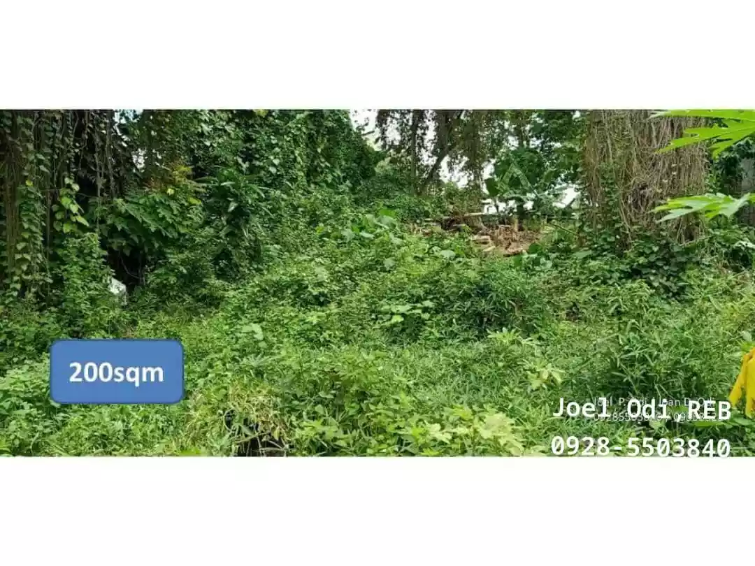 For Sale: LOT ( classified as commercial & residential ) along main highway at Samal Island Davao — Commercial Lot in Samal, Island Garden City of Samal, Davao del Norte — Photo 4