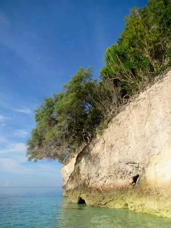 For sale Beach lot in Bangcogon Oslob Cebu  - photo 2