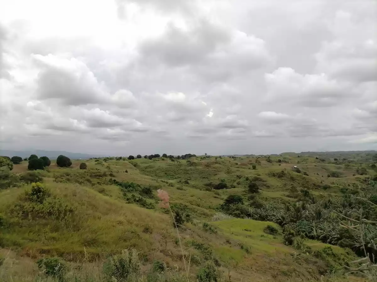 Farm Lots in Tokawal Alabel for Sale — Agricultural Lot in Alabel, Sarangani, Philippines — Photo 6
