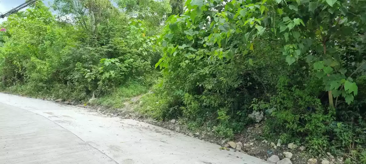 Residential lot sale in Banawa Cebu CIty - photo 6