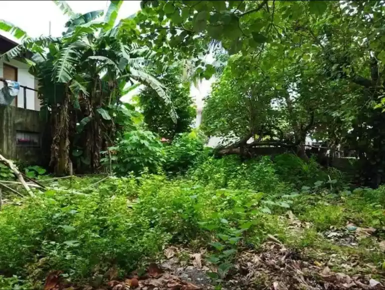 LOT FOR SALE IN CLOUD 9, GENERAL LUNA, SIARGAO ISLANDS - photo 6