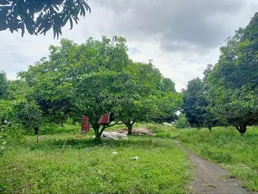 1 Hectare property — Agricultural Lot in General Santos City, South Cotabato, Philippines — Photo 3
