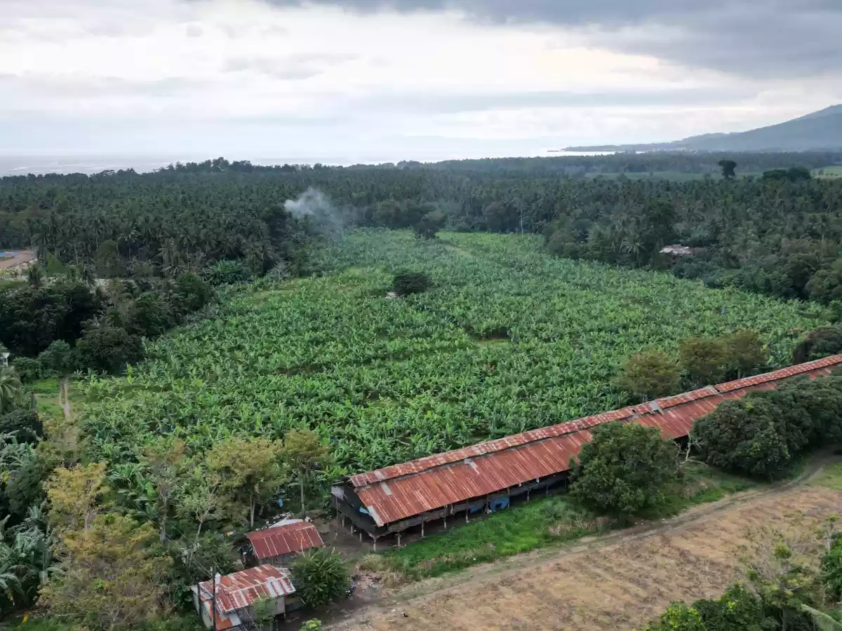 Darong Lot for Sale - photo 2
