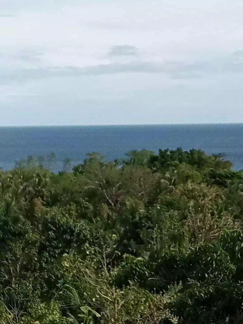 LOT FOR SALE IN IPO, CANDABONG, ANDA, BOHOL - photo 5