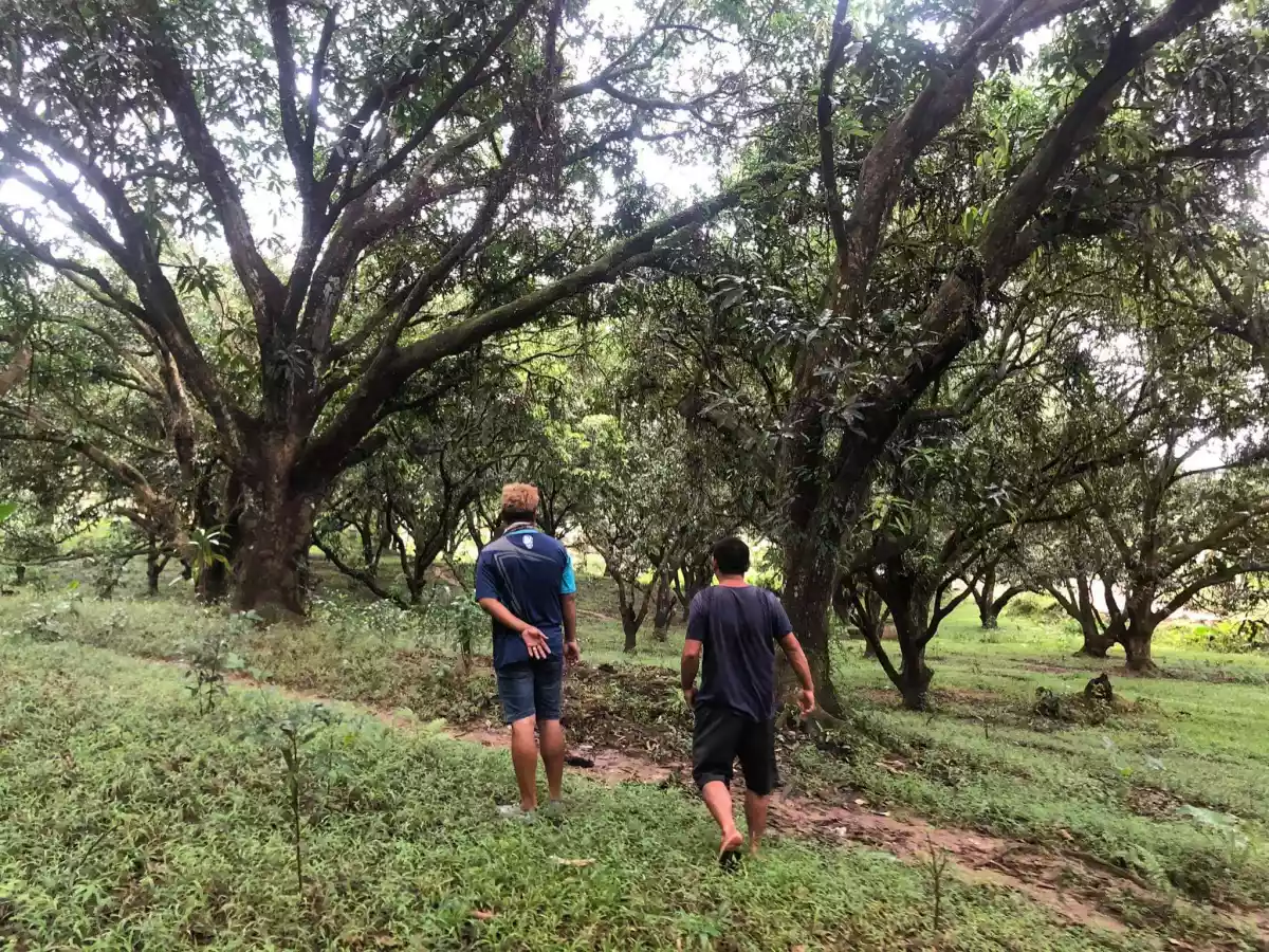 FARMLOT IN MINGLANILLA - photo 6