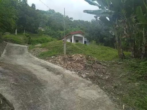 Anyone interested in this 924 square meters lot in Pulangbato, Cebu City? Included also is a concrete, 3-bedroom house. 

? Clean Title ? under our name
? Perfect for Resthouse or Pocket Subdivision 

Selling Price: 8.5M ? negotiable. — Residential Lot in Cebu City, Cebu, Philippines — Photo 4