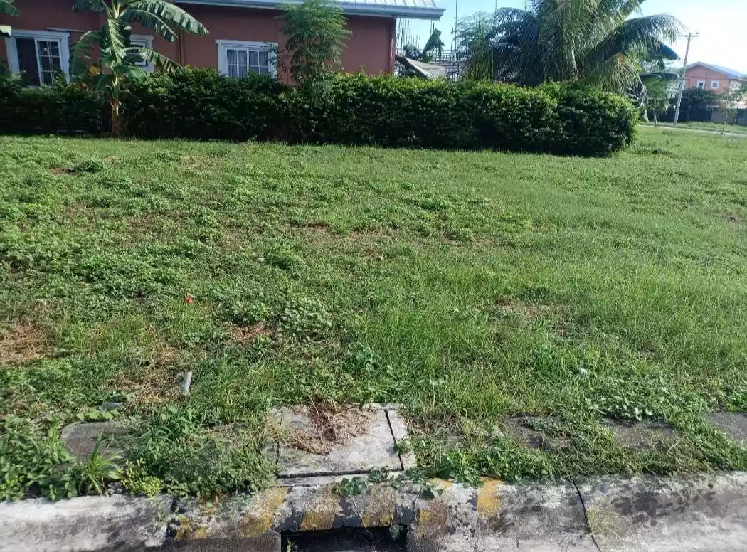 Lot For Sale in Alegria Palms Dos - photo 4