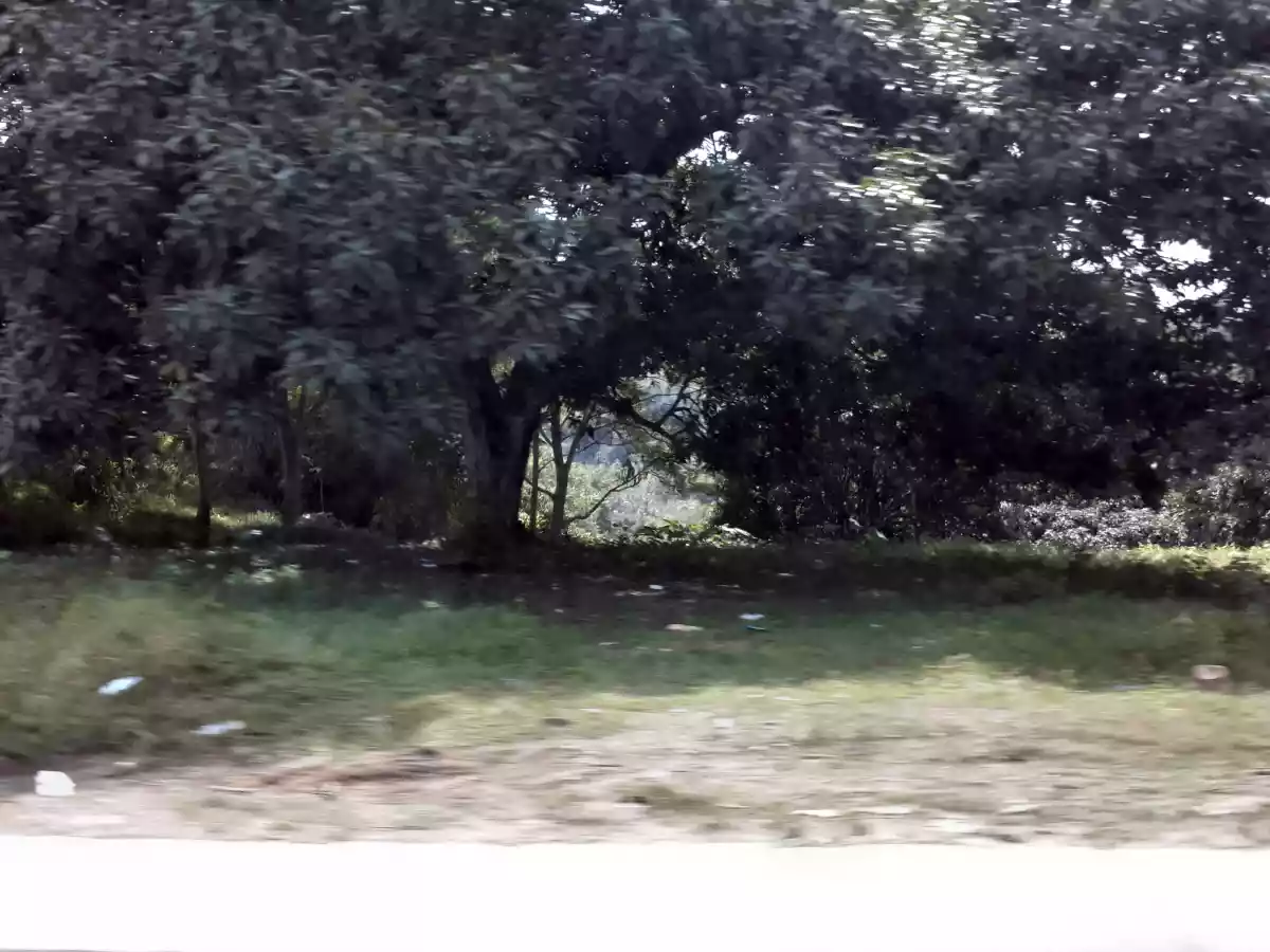 Lot for sale @ Upper Agusan CDO 800sqm — Agricultural Lot in Cagayan de Oro, Misamis Oriental, Philippines — Photo 6