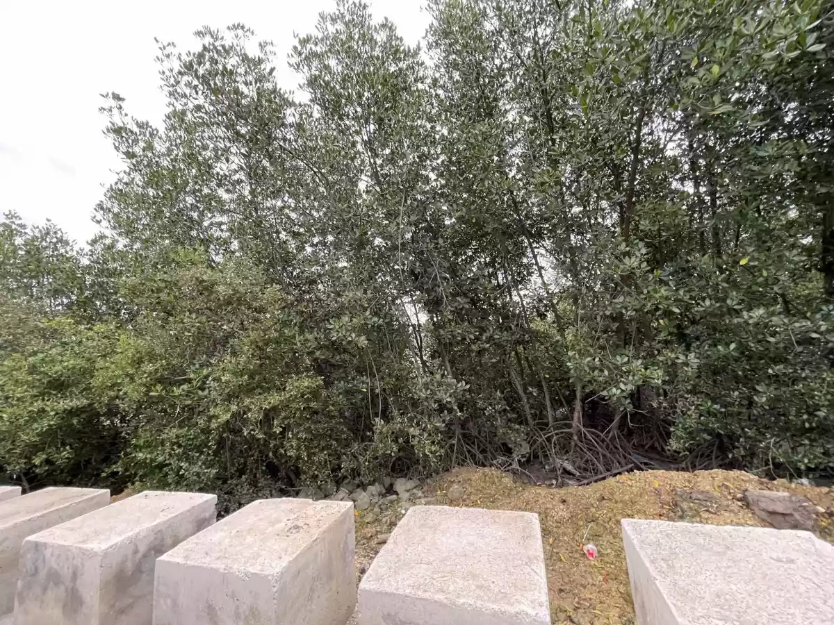Lot only for sale — Industrial Lot in Consolacion, Cebu, Philippines — Photo 2