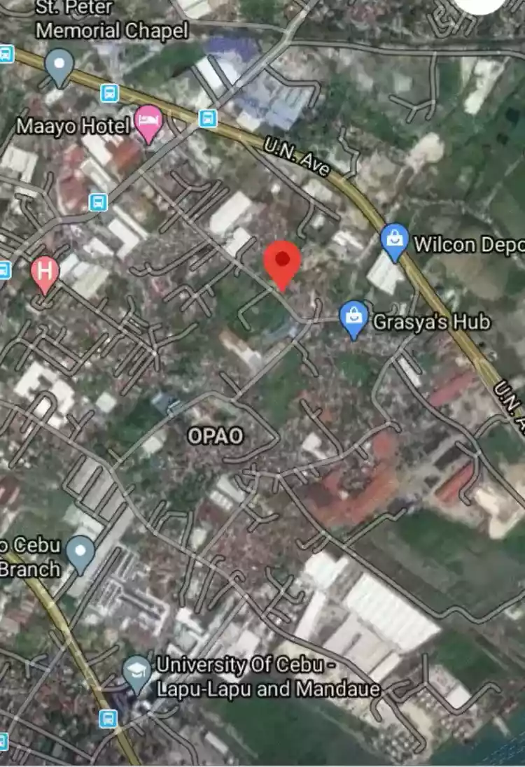 RUSH SALE 1,625 SQM LOT IN UMAPAD MANDAUE — Residential Lot in Mandaue City, Cebu, Philippines — Photo 3