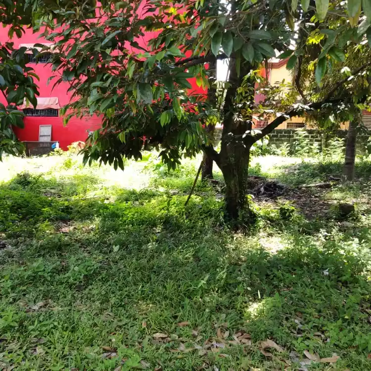 2907 sqms Commercial Property in Toril , Davao City (Clean title) - photo 3