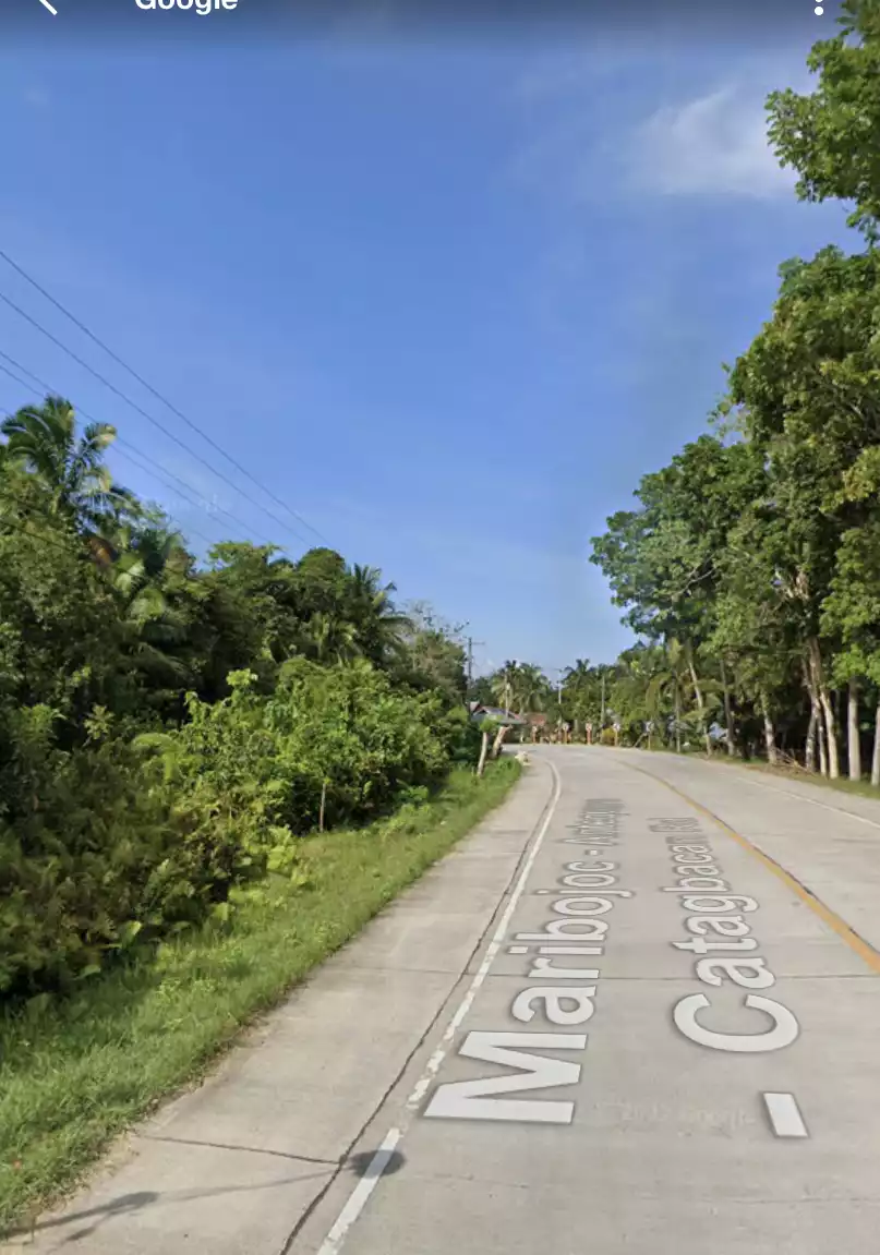 Maribojoc Commercial Lot — Commercial Lot in Maribojoc, Bohol, Philippines — Photo 2