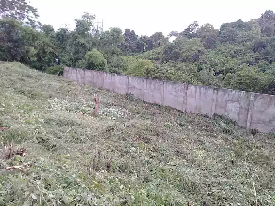 Lot only — Residential Lot in Cebu, Philippines — Photo 5