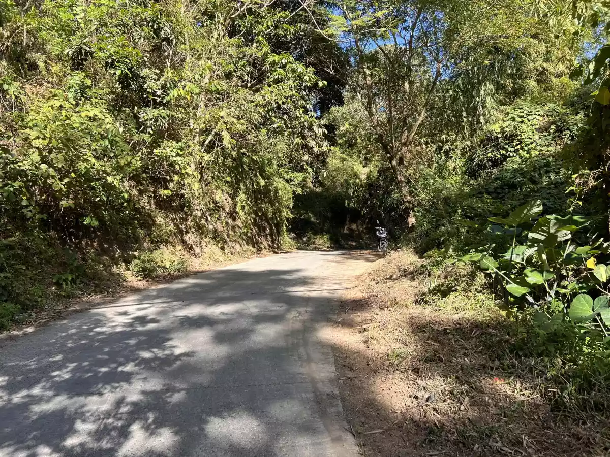 Lot for Sale in Lanipga Consolacion, Cebu — Agricultural Lot in Cebu, Philippines — Photo 4