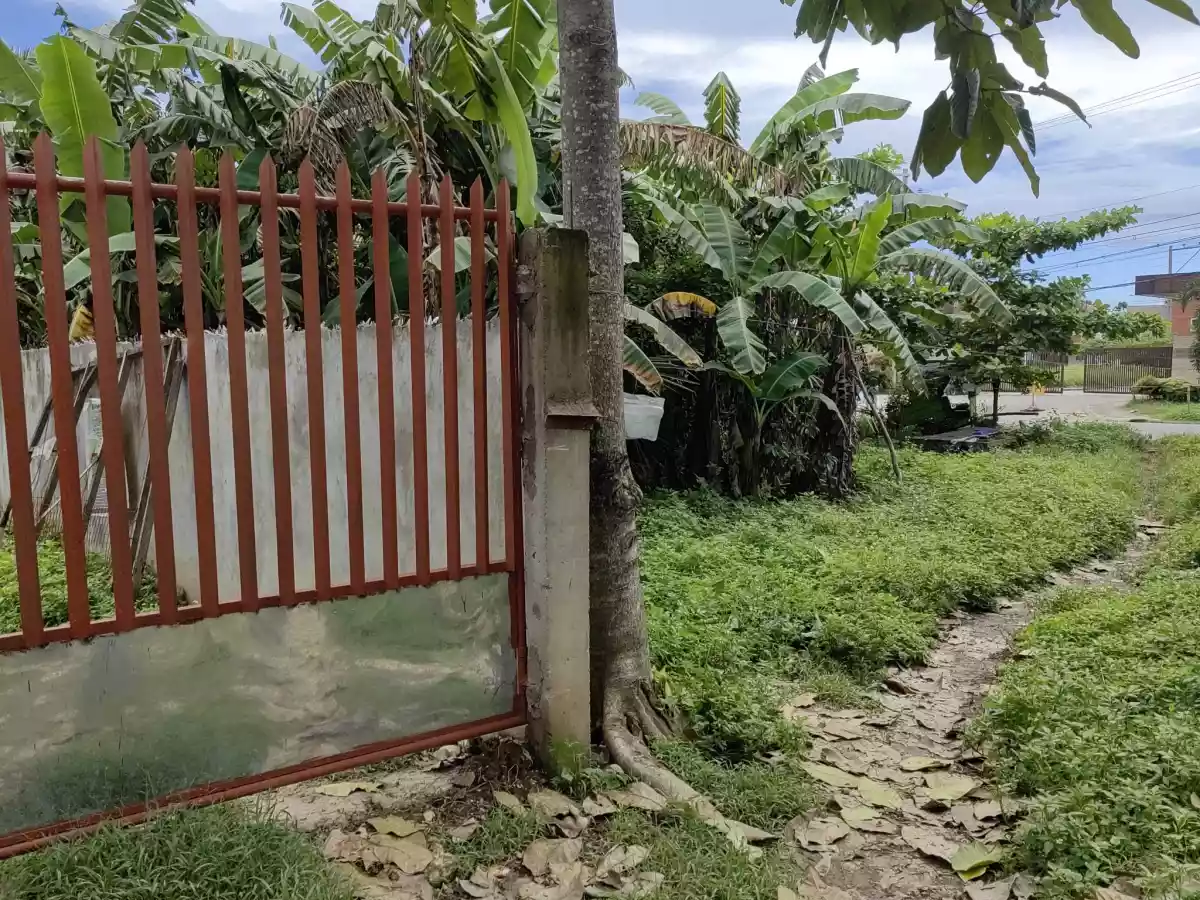 For Sale Fully concrete Fence lot in Sambag, San Vicente Liloan — Agricultural Lot in Cebu, Philippines — Photo 6
