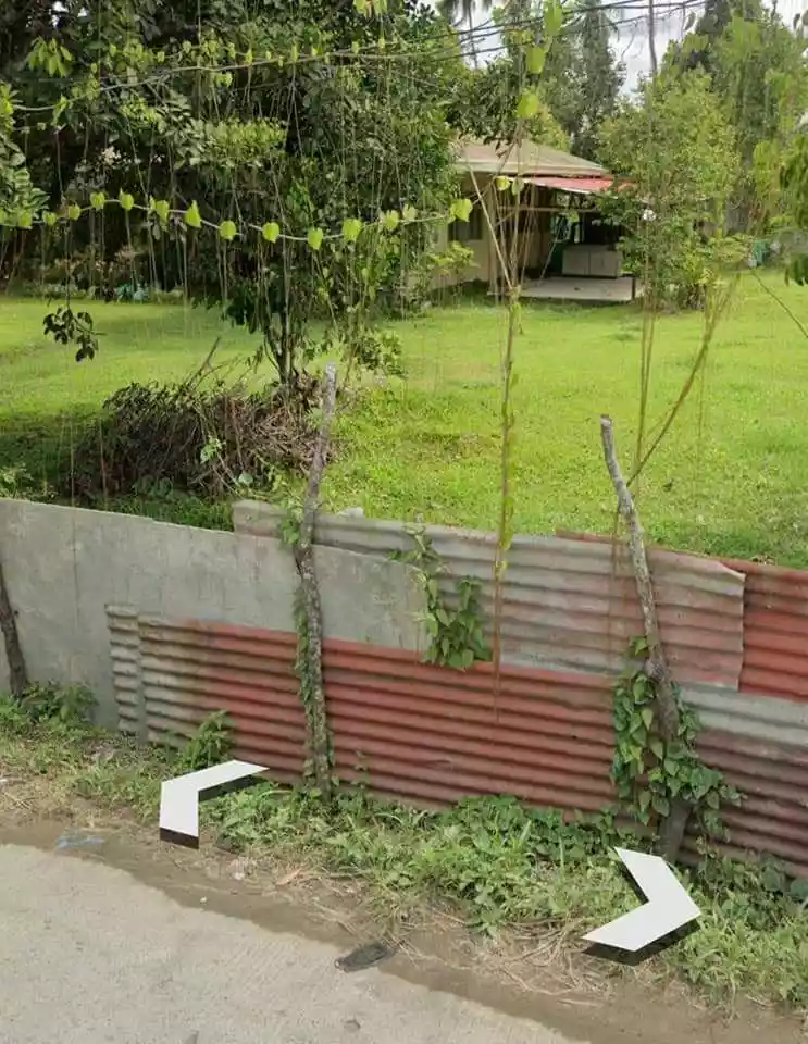 10398 sqm COMMERCIAL LOT IN MABINI ST, MAGUGPO SOUTH, TAGUM CITY - photo 3