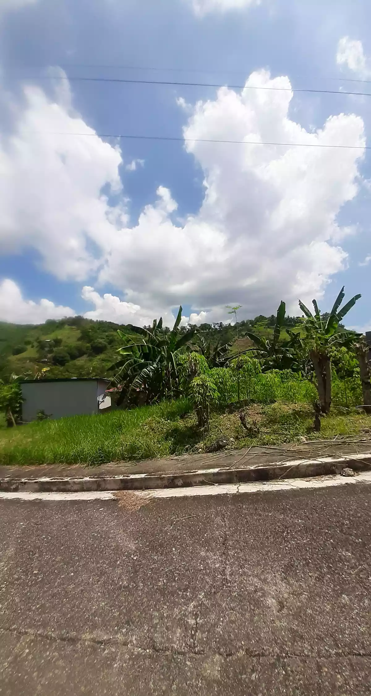 Lot For Saleâ€¼ - photo 4