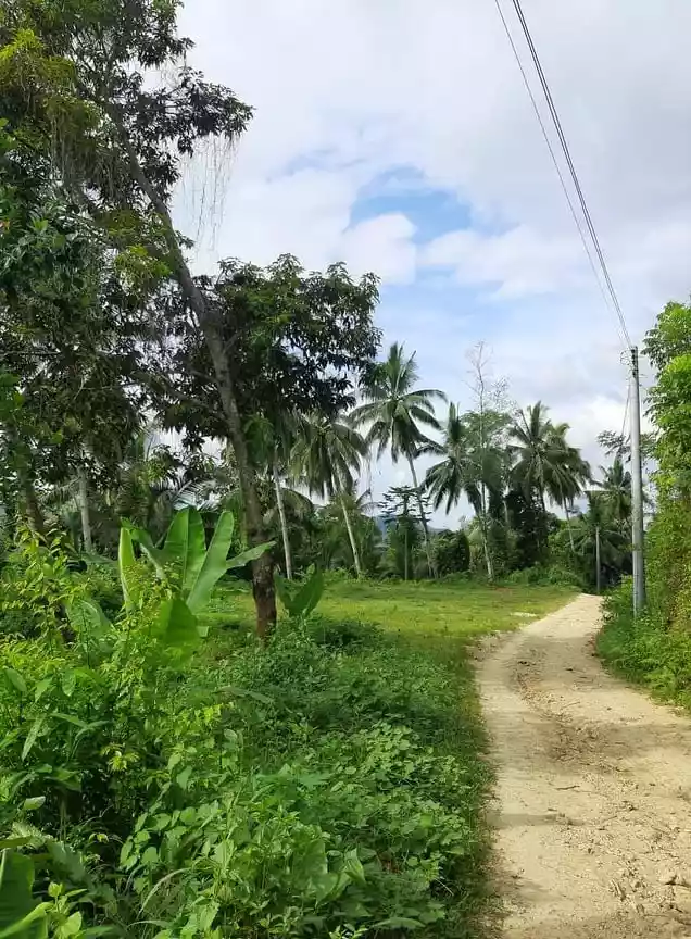 9000 SQM IN SAN FERNANDO CEBU - photo 5
