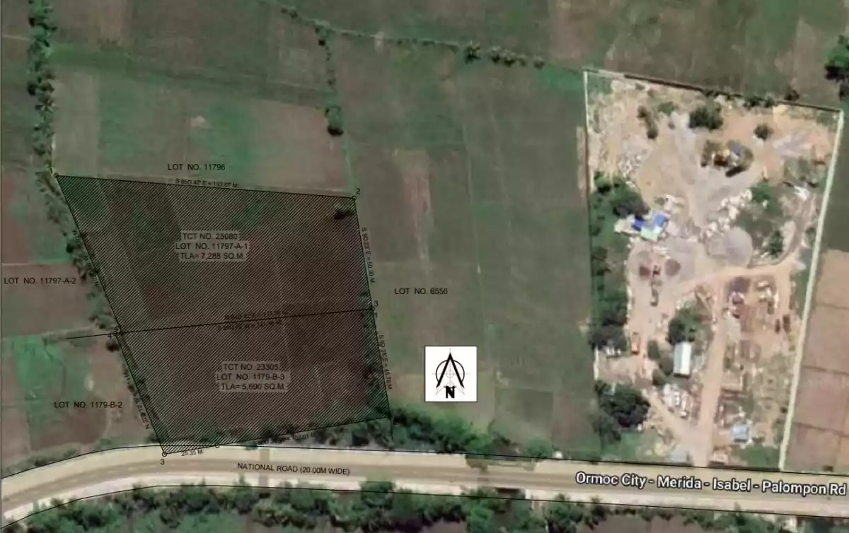 Commercial Lot for Sale — Residential Lot in Ormoc, Leyte, Philippines — Photo 6