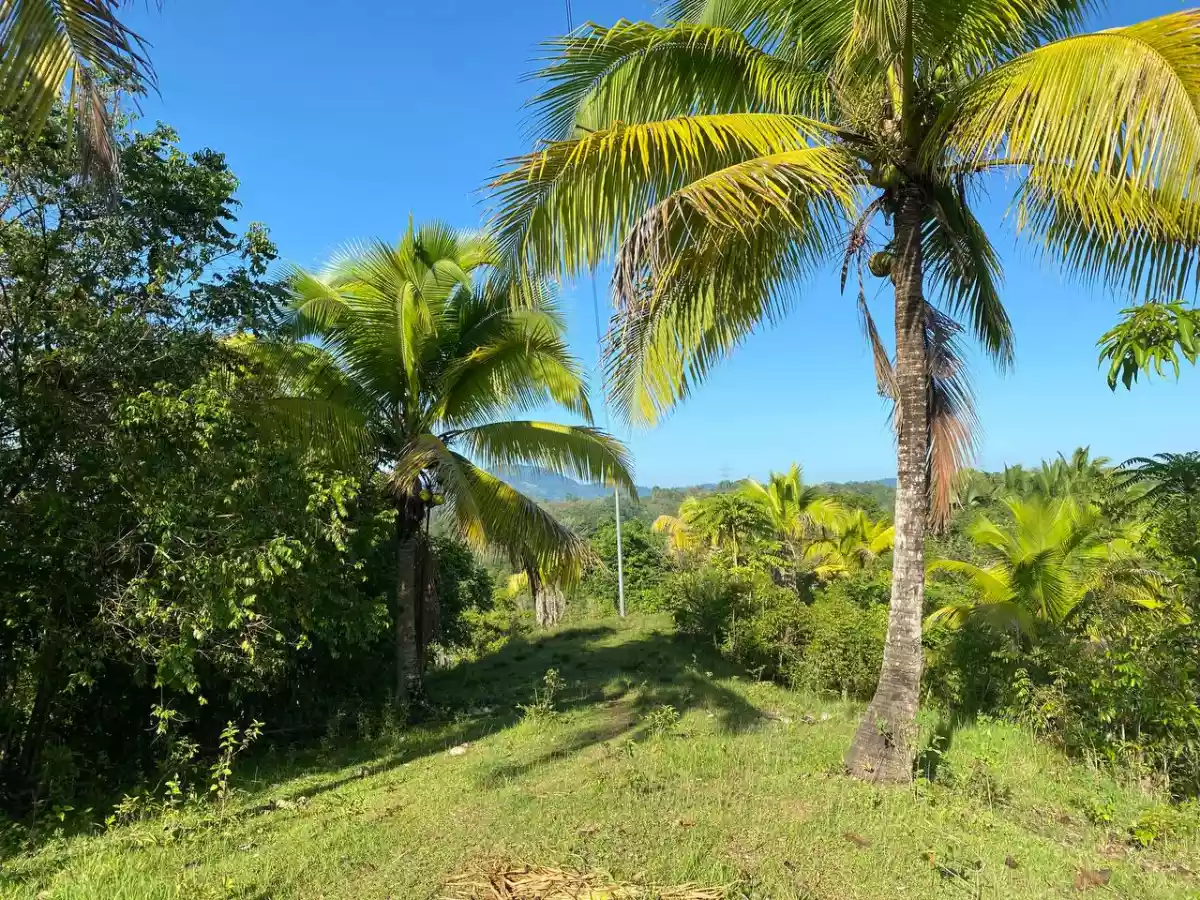 Open photo 12 of 27 — Over Looking LOT FOR SALE along Brgy Road Bayanga, Cagayan de Oro City