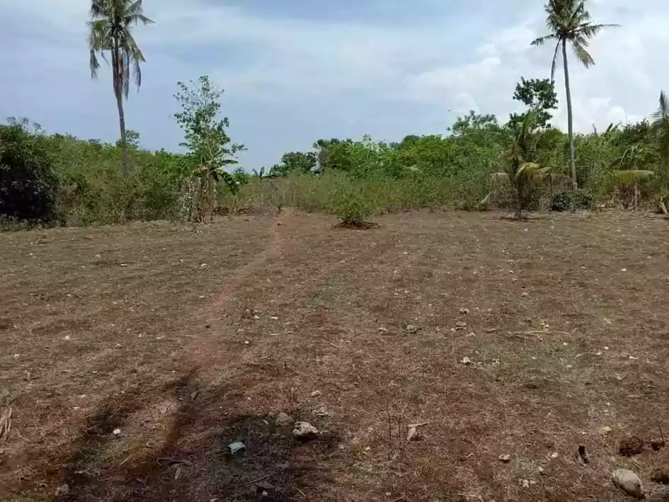 Brgy Malbago Lot
