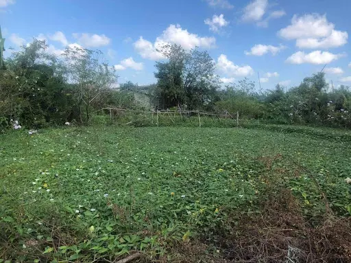 T7144651 — Residential Lot in Mandurriao, Iloilo City, Iloilo — Photo 6