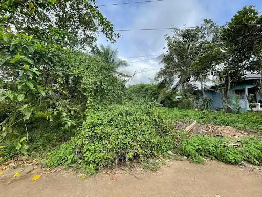 FORTUNEVILLE SAGAY LOT FOR SALE! NEAR THE ENTRANCE! — Residential Lot in Sagay City, Negros Occidental, Philippines — Photo 3