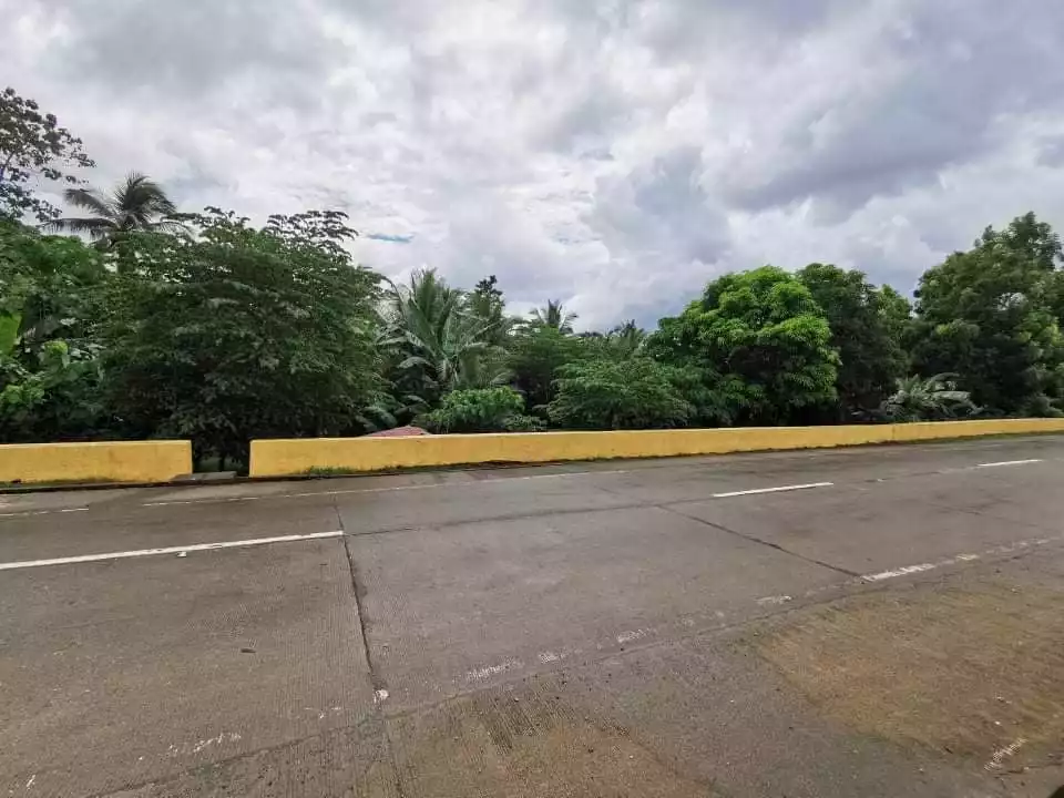 Cambuhawe, Balamban Lot for Sale — Residential Lot in Balamban, Cebu, Philippines — Photo 6