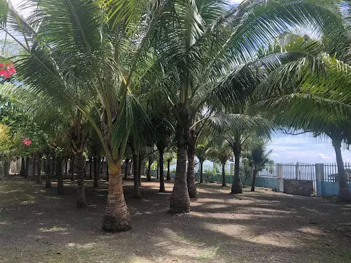 Open photo 28 of 34 — Beachfront House and Lot for Sale