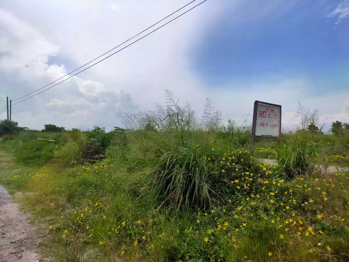 Lot for sale - photo 3