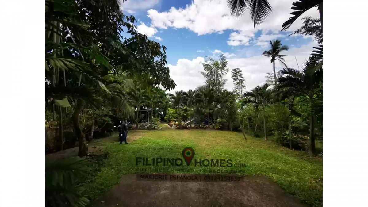 1, 500sq.m Developed WHITE SAND BEACH PROPERTY FOR SALE | Glan, Sarangani Province — Beach Lot in Sarangani - Davao del Sur Coastal Road, Glan, Sarangani — Photo 5