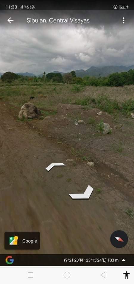 LOT FOR SALE IN PANCIL, LOOC, SIBULAN - photo 5