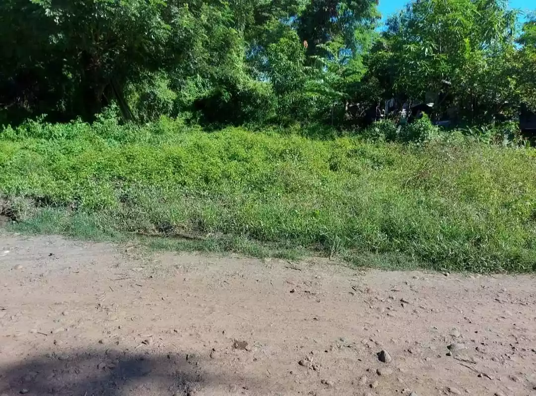 Lot for Sale in Sibulan